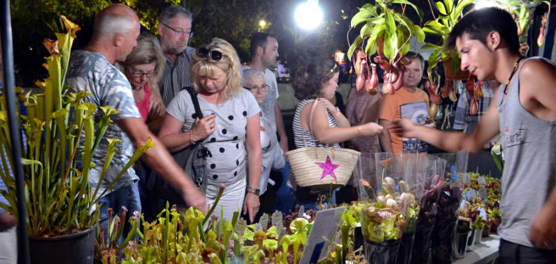 Mercadillos en las Islas Baleares 